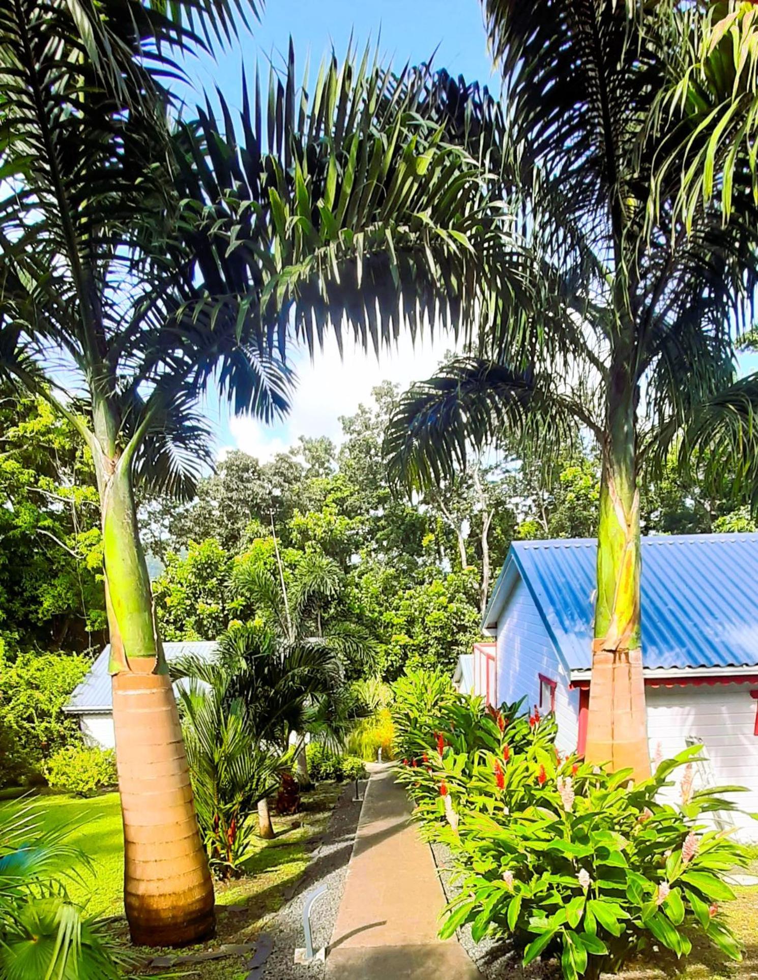Caraibes Cottages Corail Piscine Privee A 900M De La Plage De Grande Anse Deshaies Exterior foto